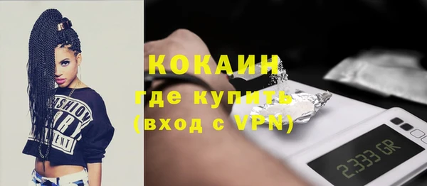 стаф Алзамай