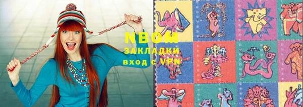 стаф Алзамай