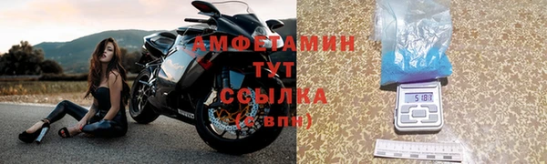 стаф Алзамай